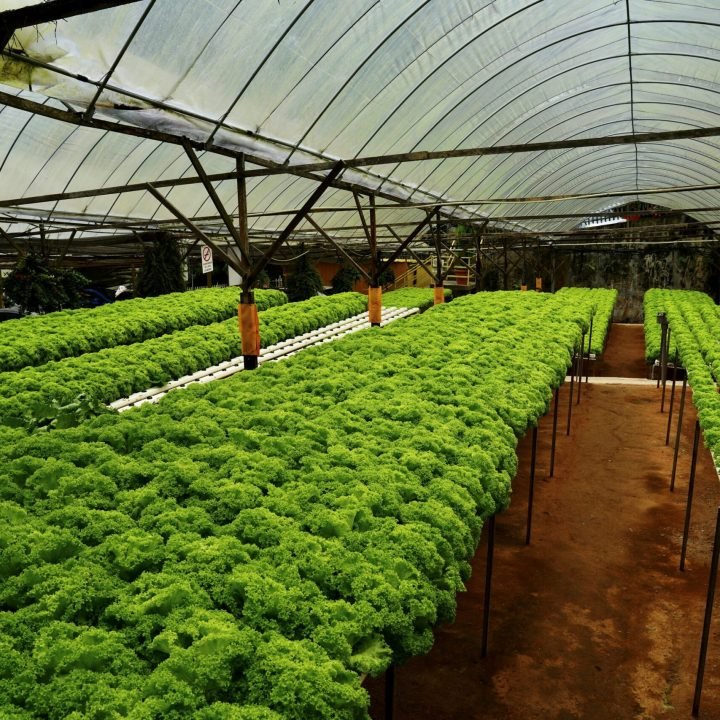 photo-1727099079513-952d40de9d78